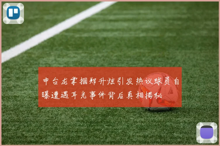 申台龙掌掴郑升炫引发热议球员自曝遭遇耳光事件背后真相揭秘