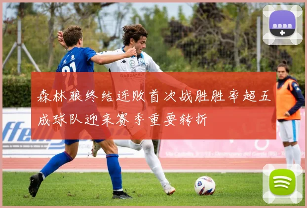 森林狼终结连败首次战胜胜率超五成球队迎来赛季重要转折