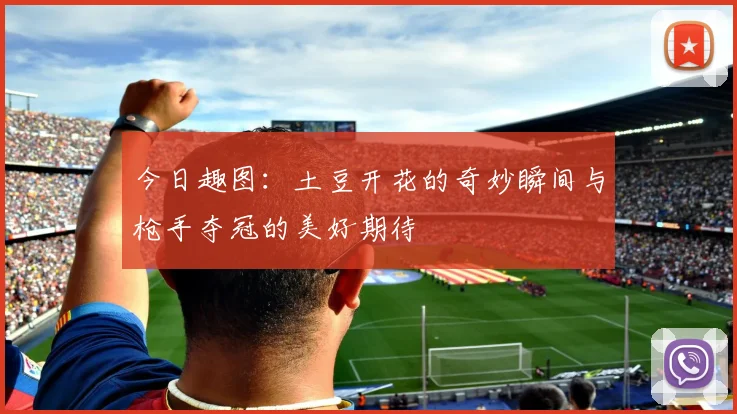 今日趣图：土豆开花的奇妙瞬间与枪手夺冠的美好期待