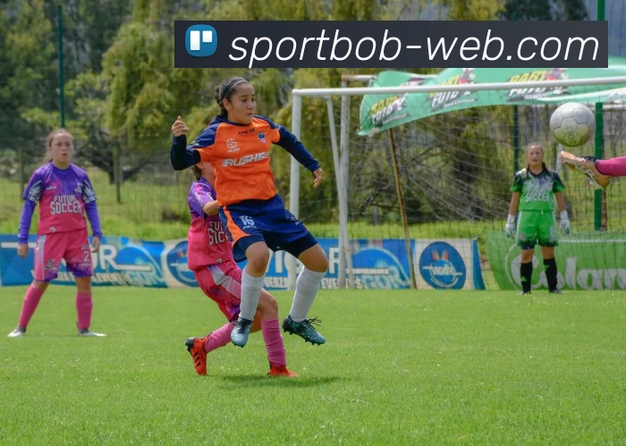 BOB体育APP 封面图